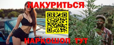 шишки Лесосибирск