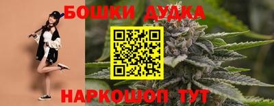 шишки Лесосибирск