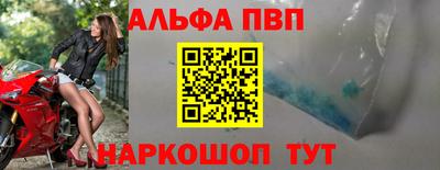 шишки Лесосибирск