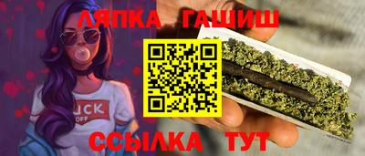 шишки Лесосибирск