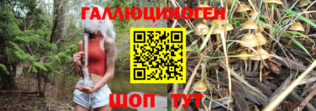 Галлюциногенные грибы мицелий  Вход с VPN  Псилоцибиновые грибы Magic Shrooms  Биробиджан 