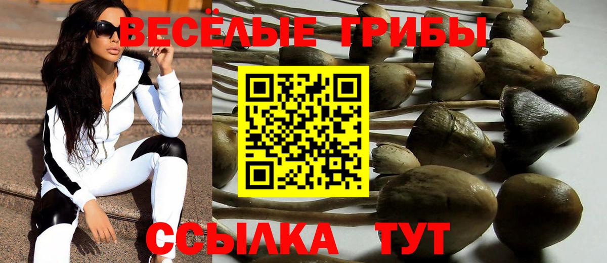 Галлюциногенные грибы MAGIC MUSHROOMS Биробиджан